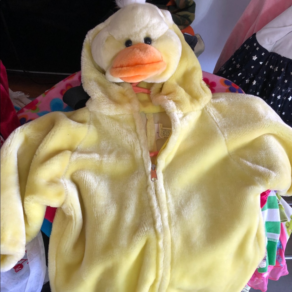 Duck costume 2-3 years old